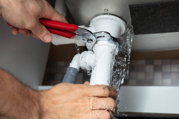 Best Flood damage cleanup  in Fife Heights, WA