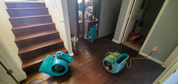 Best Commercial water damage restoration  in Fife Heights, WA