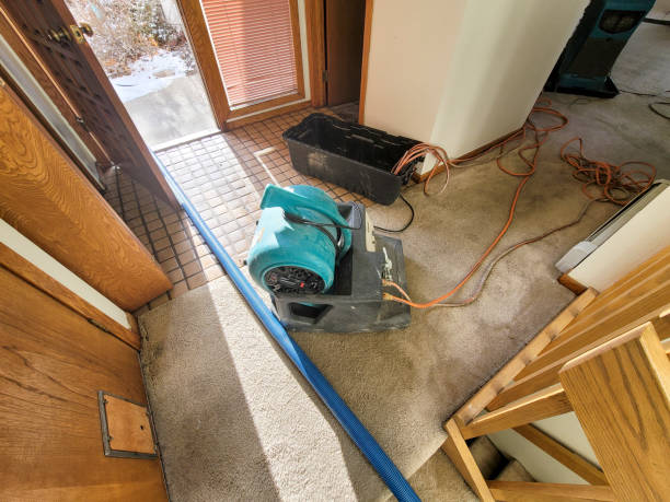 Best Water damage restoration near me  in Fife Heights, WA
