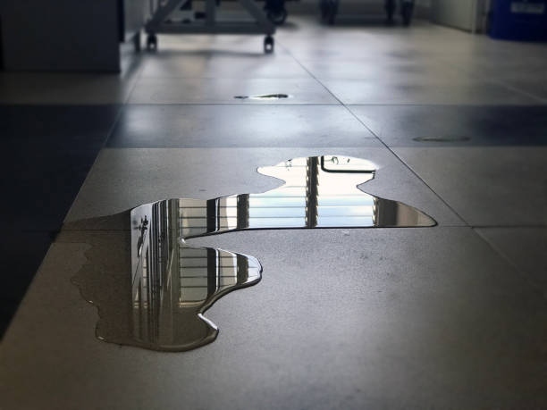 Best Water damage mitigation services  in Fife Heights, WA