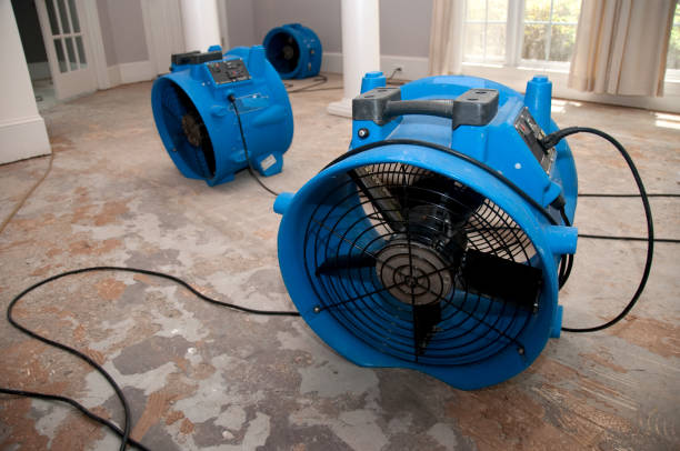 Best Carpet water damage restoration  in Fife Heights, WA
