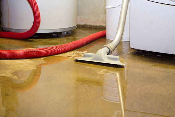 Best Sewage cleanup and water damage restoration  in Fife Heights, WA