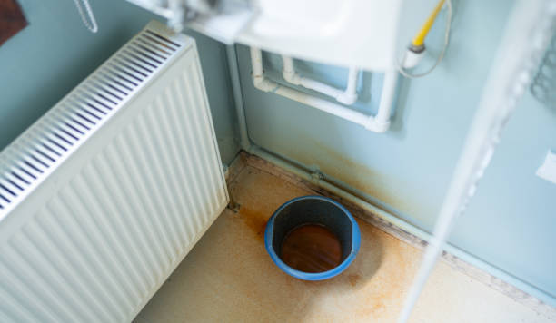 Best 24-hour water damage restoration  in Fife Heights, WA
