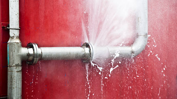 Best 24/7 water damage repair  in Fife Heights, WA