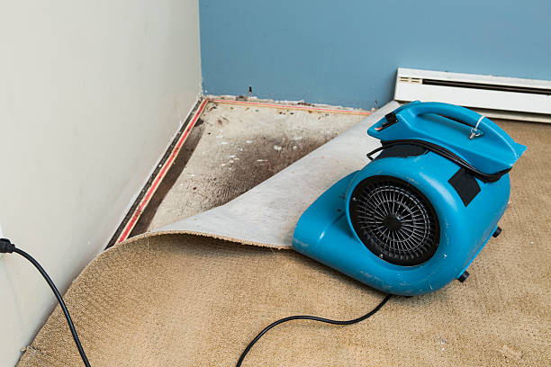 Best Water damage contractors near me  in Fife Heights, WA